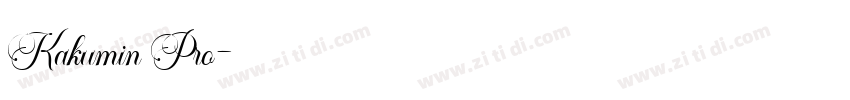 Kakumin Pro字体转换
